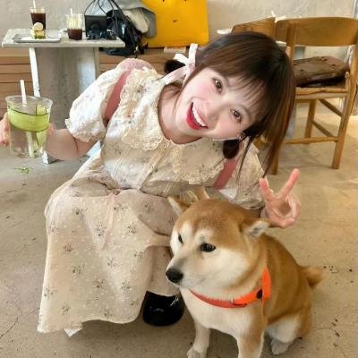 联邦调查局第五季