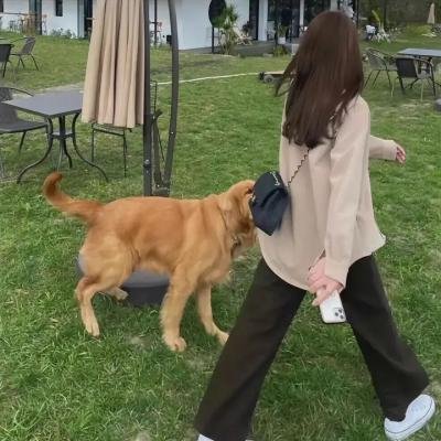 女记者查案记